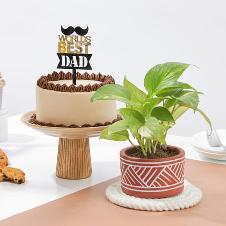 Greenery And Chocolate Cake Father's Day Gift Combo-picture-12