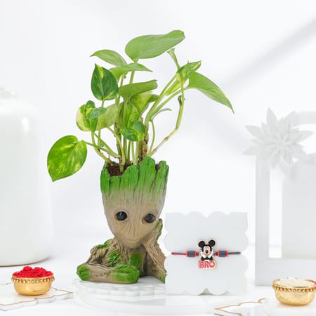 Groot Love Rakhi Gift Combo-image-21