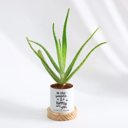 Happily Ever After - Aloe Vera Plant With Pot - Personalized-image-44