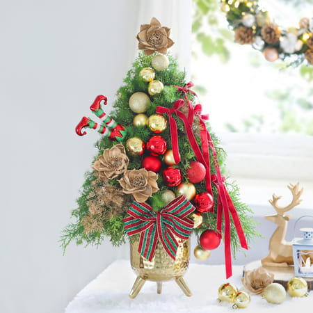 Holly Jolly Harvest-image-21