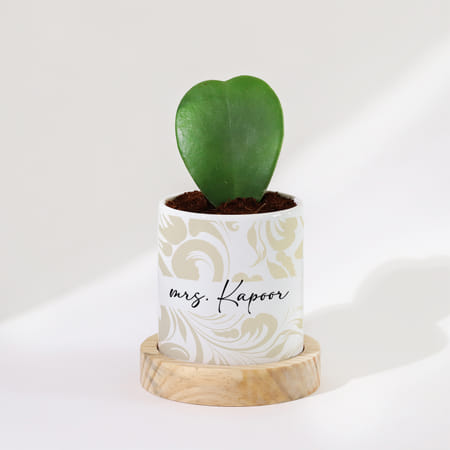 Hoya Heart Plant With Pot - Personalized-image-7