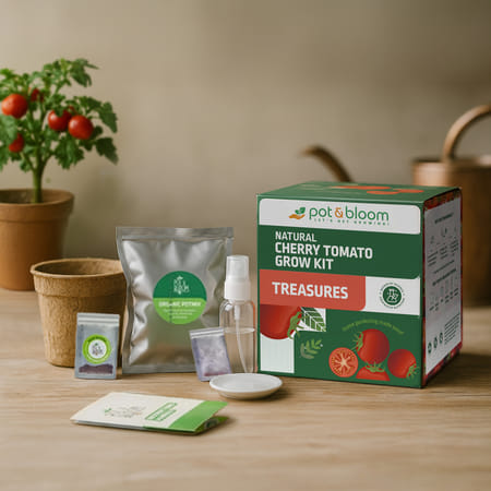 Juicy Joy Cherry Tomato Grow Kit-picture-16