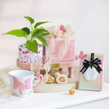 Laced in Bows-picture-11