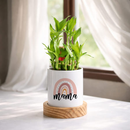 Love Grows Here Mother's Day Bamboo Plant Gift-picture-18