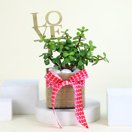 Lovely Jade in a Square Vase