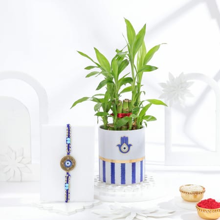 Lucky Greens And Protection Rakhi Combo-image-19