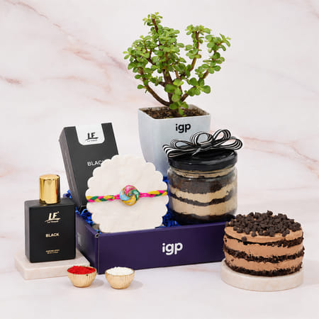 Luxurious Rakhi Hamper With Jade Plant-picture-38