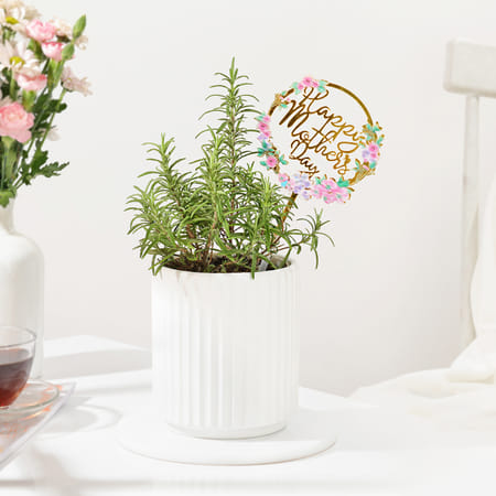 Mother's Day Rosemary Plant Gift-image-3
