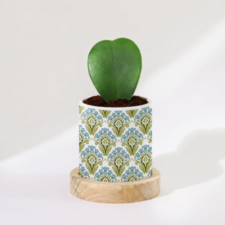 Nature's Artistry - Hoya Heart Plant With Pot-image-23
