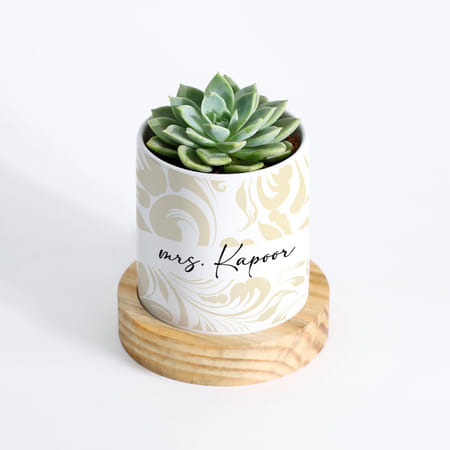 Nature's Gem - Echeveria Succulent With Pot - Personalized-picture-39
