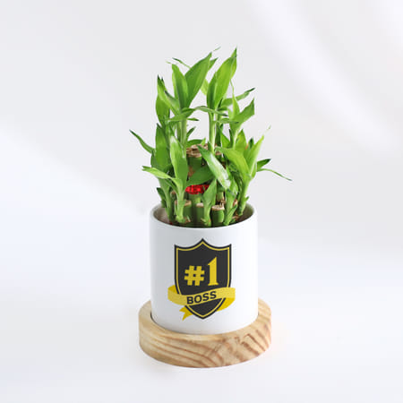 No. 1 Boss - 2 Layer Bamboo Plant With Planter-picture-37