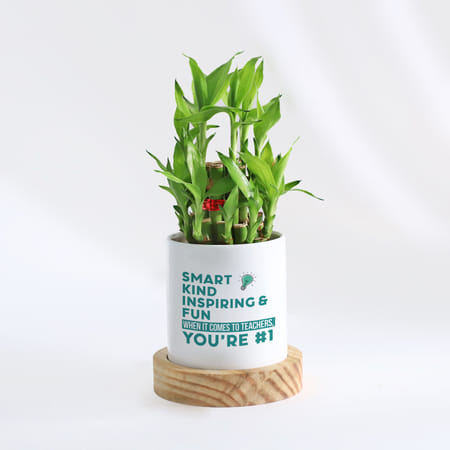 No.1 Teacher - Bamboo Plant With Personalized Planter-picture-12