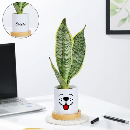 Personalized Ceramic Dog Planter With Snake Plant-picture-46