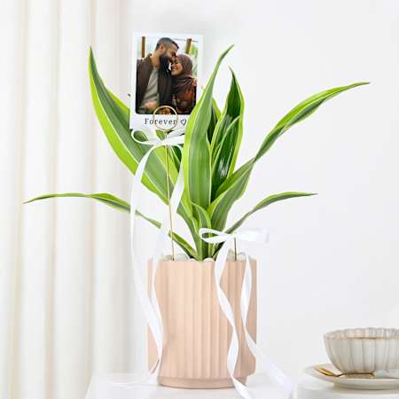 Personalized Dracaena And Fridge Magnet Combo