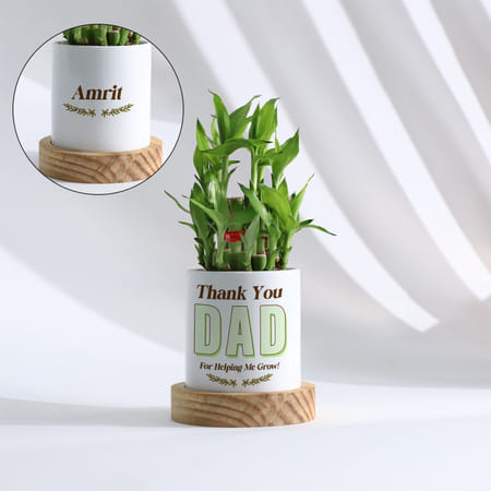 Personalized Father's Day Bamboo Plant With Ceramic Planter-picture-19