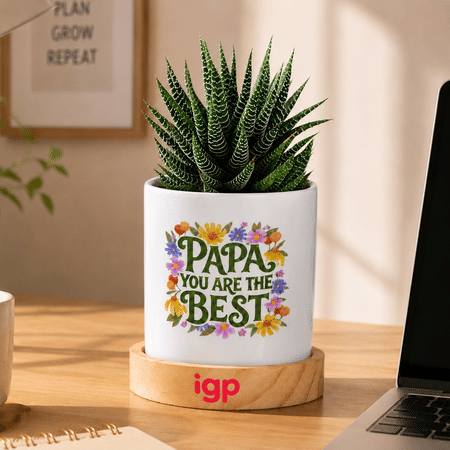 Personalized Father's Day Haworthia Plant With Ceramic Planter-picture-25