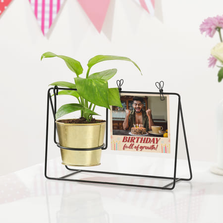 Personalized Growth And Memories Swing Planter