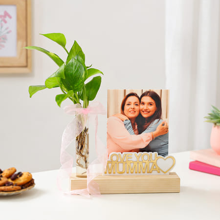 Personalized Love You Mumma Photo Stand With Money Plant-picture-19