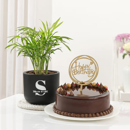 Personalized Lush Plant And Birthday Cake Combo-image-0