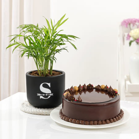 Personalized Lush Plant And Cake Combo-image-4