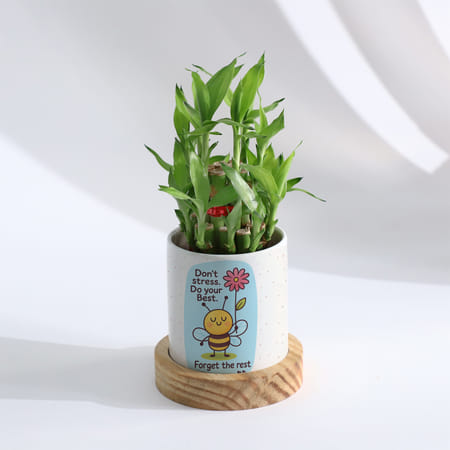 Personalized Positivity Planter With Bamboo Plant-picture-31