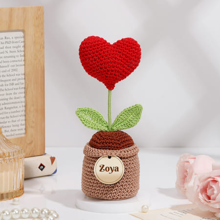 Personalized Red Crochet Heart In Pot-picture-35