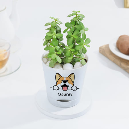Personalized Self-Watering Dog Planter With Jade Plant-picture-30