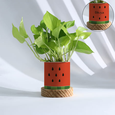 Personalized Watermelon Planter With Money Plant-picture-40