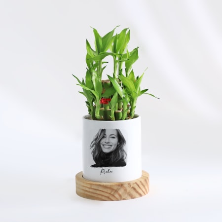 1pc Face Flower Pot Pot Ceramic Plant Pot Cactus Plant Pot Flower Pot  Container Planter Drainage Hole Home Office Desk Garden Gift Idea - Patio,  Lawn & Garden - Temu
