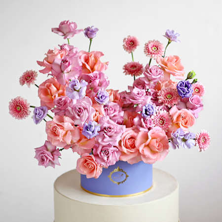 Plum Melody-picture-14