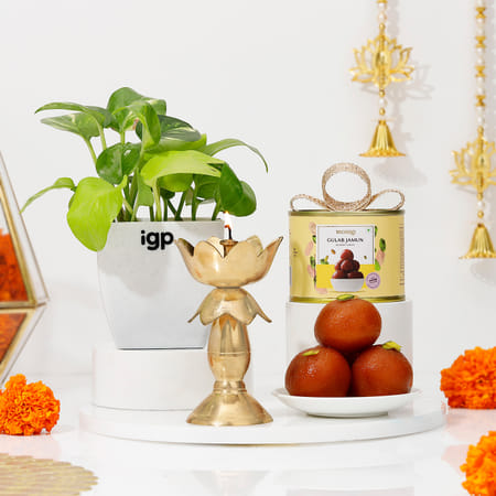 Prosperity Blossom Diwali Hamper-image-31