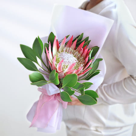 Protean Luxe-picture-24