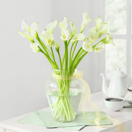 Pure Radiance-picture-38