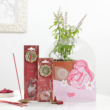 Purity And Grace Mother's Day Gift Combo-image-46