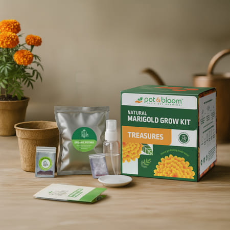 Sunshine Marigold Grow Kit-picture-17