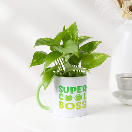 Super Cool Boss - Money Plant In Personalized Mug-picture-20