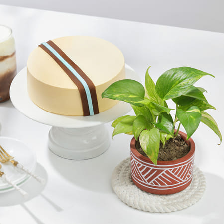 Sweet Goodness Gift Combo-image-4