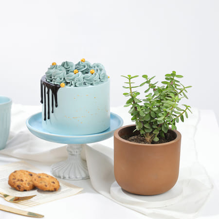 Sweet Prosperity Gift Combo