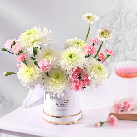 The Admirer-picture-23
