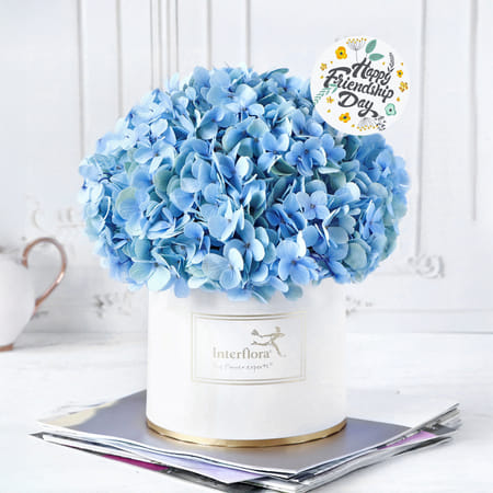 The Loyal Blue-image-30