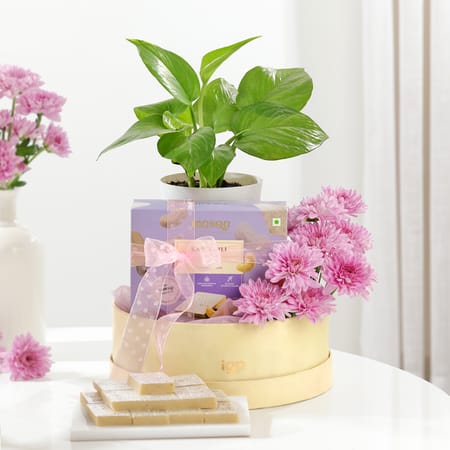 Wellness And Indulgence Hamper