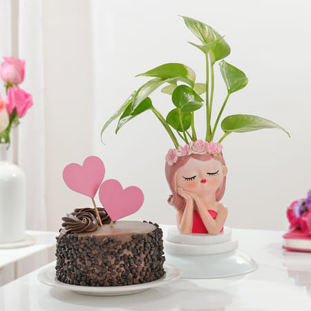 Women's Day Money Plant And Chocochip Cake