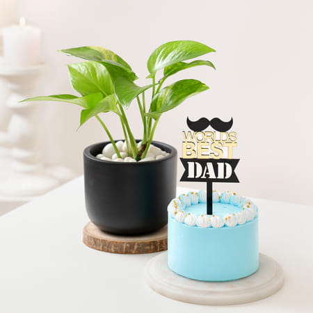 World's Best Dad Money Plant And Cake Combo-image-44