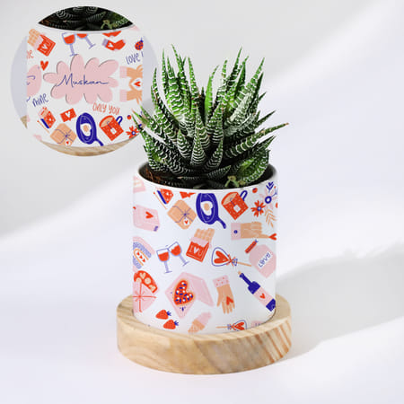 You Are Mine - Haworthia Succulent With Personalized Planter-picture-25