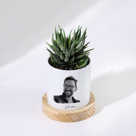 Zebra Succulent Personalized With Ceramic Planter
