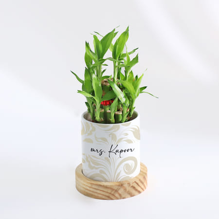 Zen Oasis - 2-Layer Bamboo Plant With Pot - Personalized-picture-33