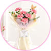 Carnations