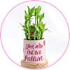 Planters with Quotes