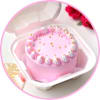 Mini & Bento Cakes