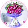 Orchids